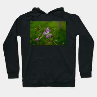 3282016 lavender Hoodie